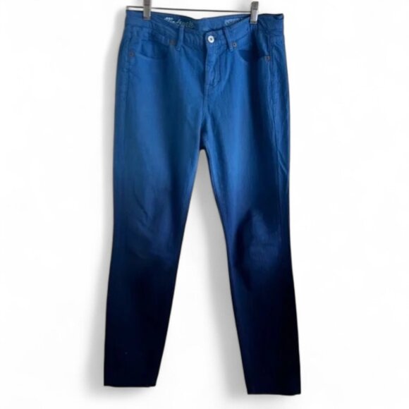 Madewell Blue Ombre Skinny Skinny Jeans - Size 29 x 32 Boho Colorful Durable - Picture 2 of 15